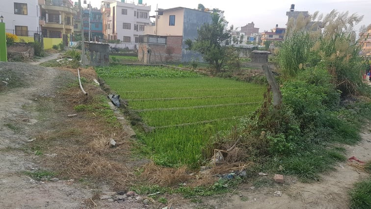 Attractive land on sale at Gongabu